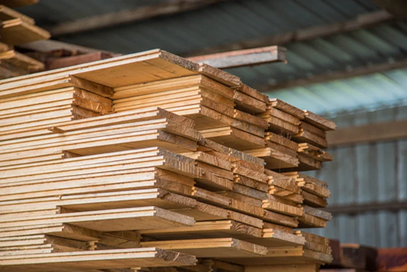 High-quality timber logs ready for export from Misarma Integrated Services (Sabah) Sdn Bhd