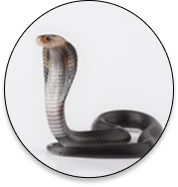 Snake Control Industry Support